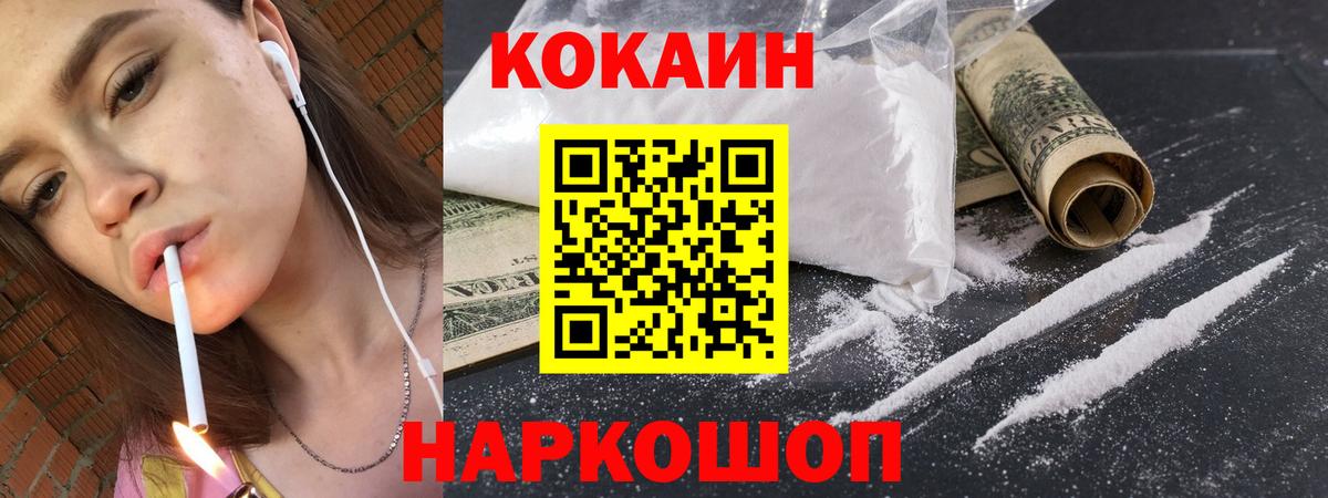 где купить наркотик  Вход с VPN  Алейск  Cocaine Fish Scale 