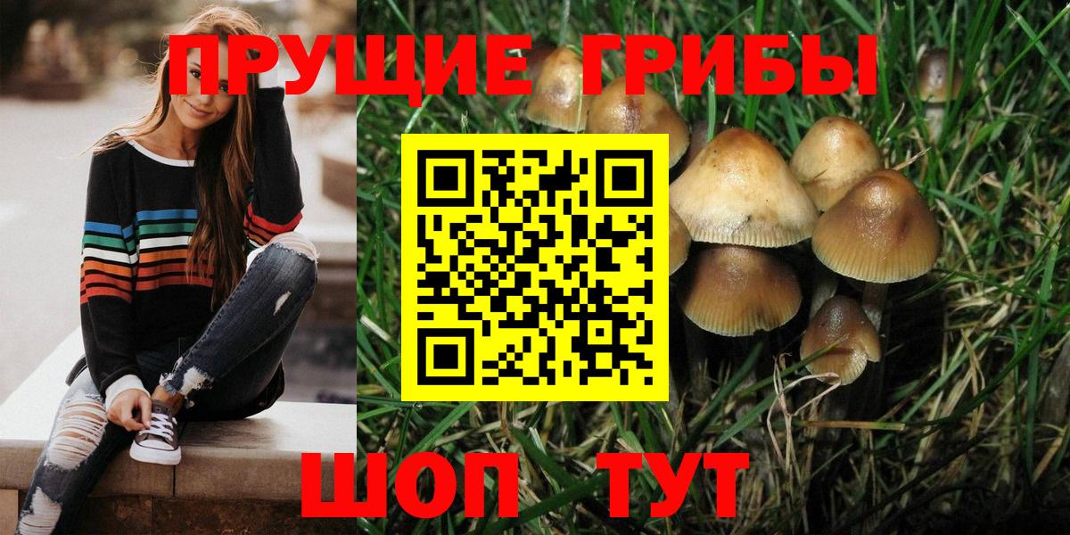 Псилоцибиновые грибы мухоморы  Вход с VPN  Алейск 