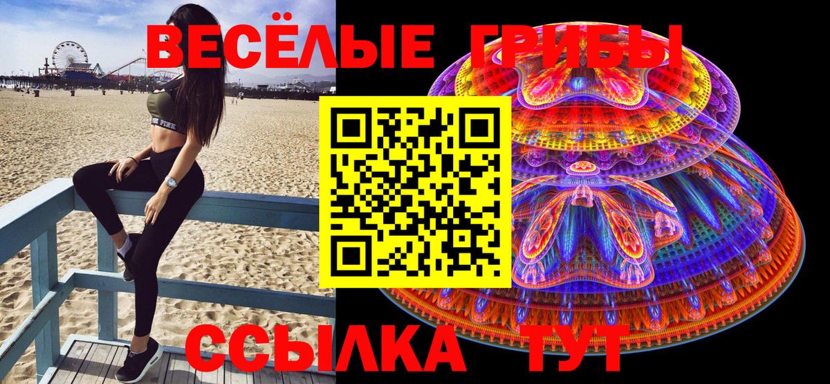 Галлюциногенные грибы Psilocybine cubensis Алейск